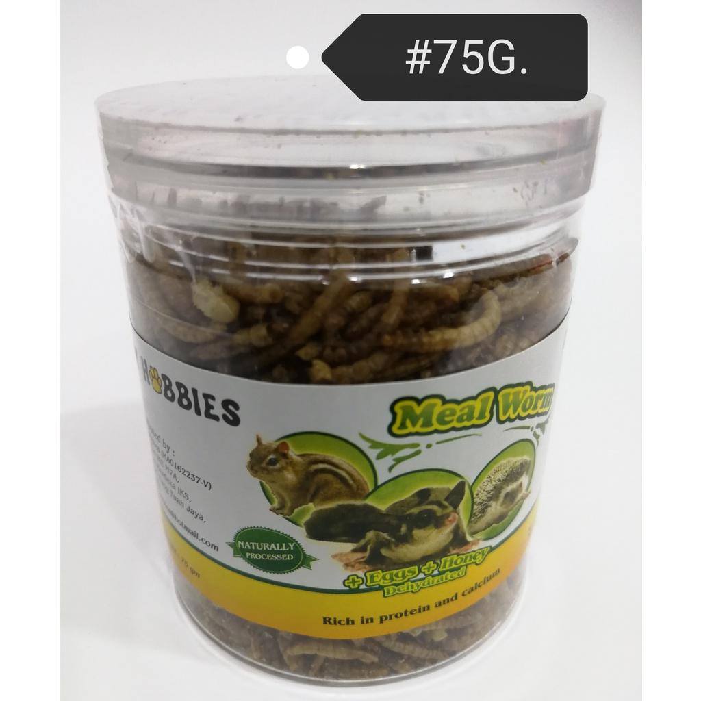 GF004 JY Hobbies MealWorm 75gram Sugar Glider Hamster Hedgehog Reptile Bird Fish Food Feed (Meal Worm) Makanan Burung