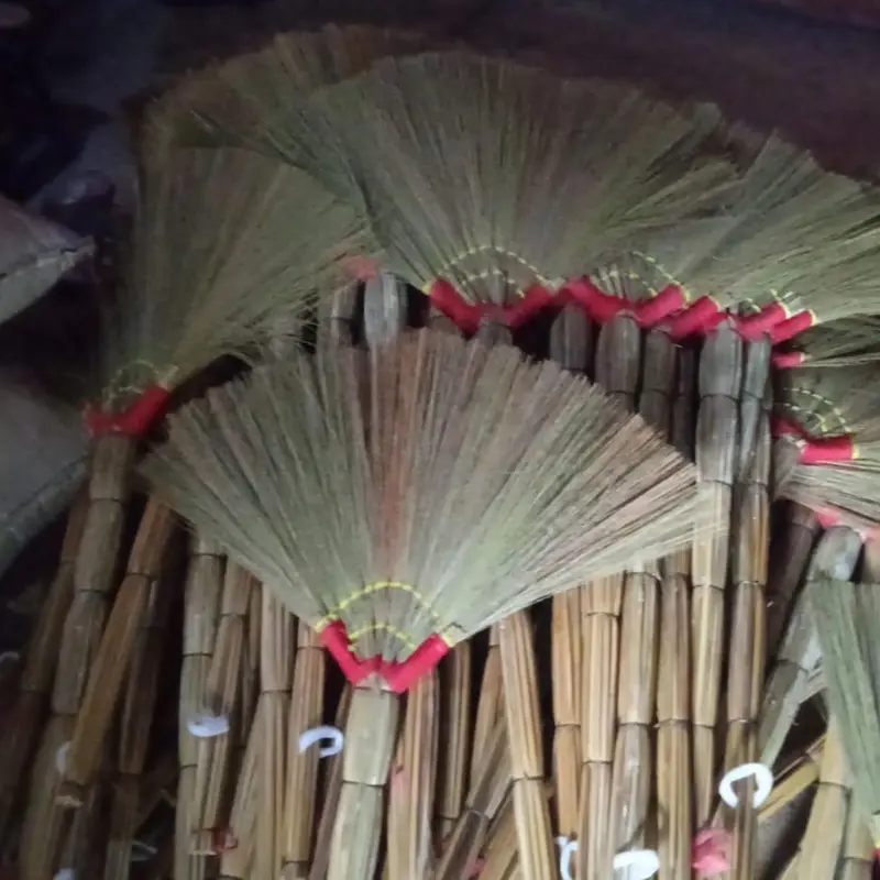 Sapu Lantai Rayung (Europe Series) Sapu Pembersih lantai Ijuk Rayung Gagang Terusan 6