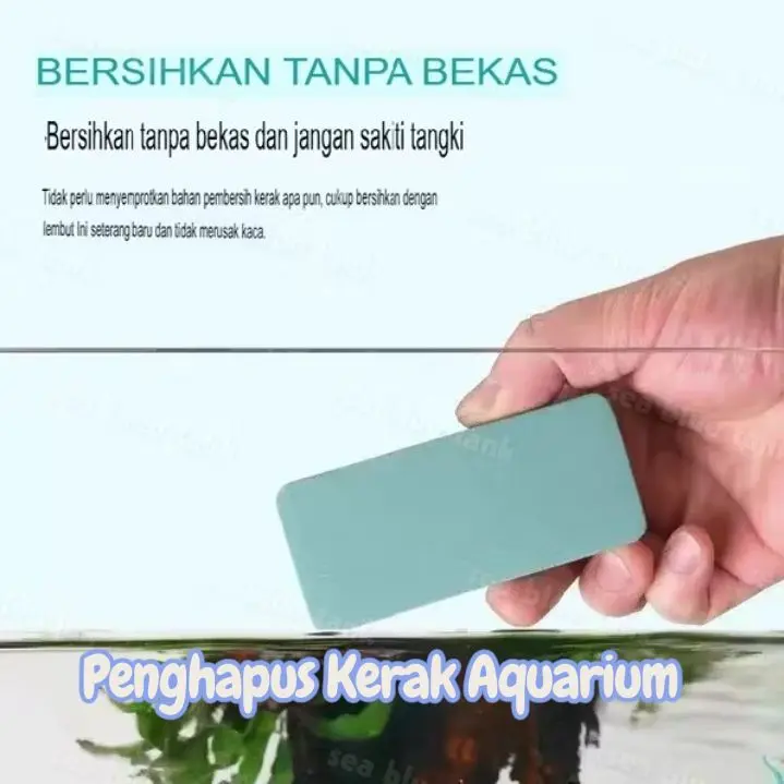Penghapus Kerak Putih Aquarium Spon Multifungsi