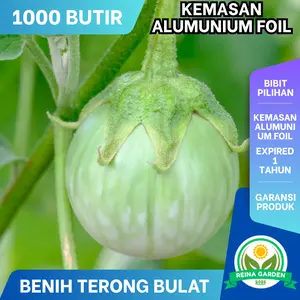 1000 Benih Terong Lalap Hijau Kualitas Unggul Kemasan Aluminium Foil Garansi Produk