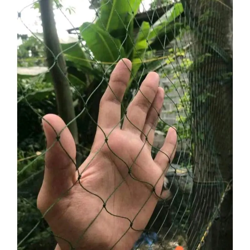 jaring pagar ayam 1m x 100meter ukuran bahan jaring lubang 4inc 6