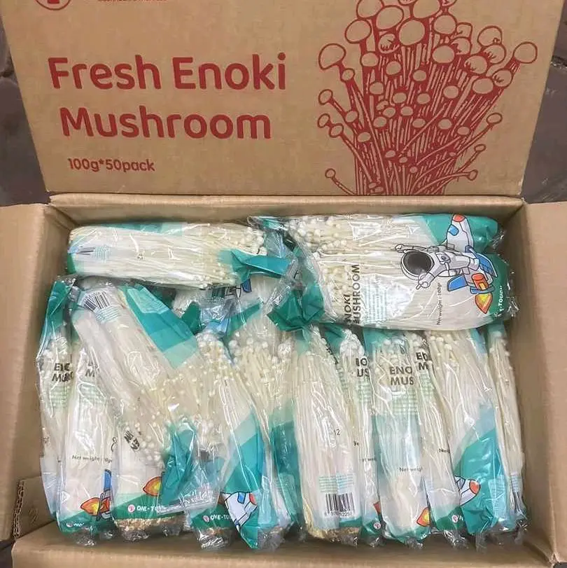 Jamur Enoki 1Pack - Kualitas Terbaik untuk Memasak