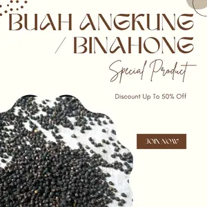 buah angkung / binahong kering berkualitas