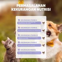 Gambar Majes Immune Boost Gel Supplement for Cats & Dogs – Supports Immunity & Overall Health (120g) - Immune Boost 1pcs dari Majes Pet Store Kab. Tangerang 3 Tokopedia