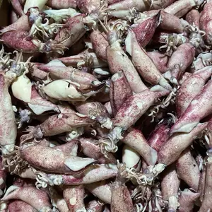 CUMI ASIN UKURAN JUMBO 6-9CM (pulaujawa)