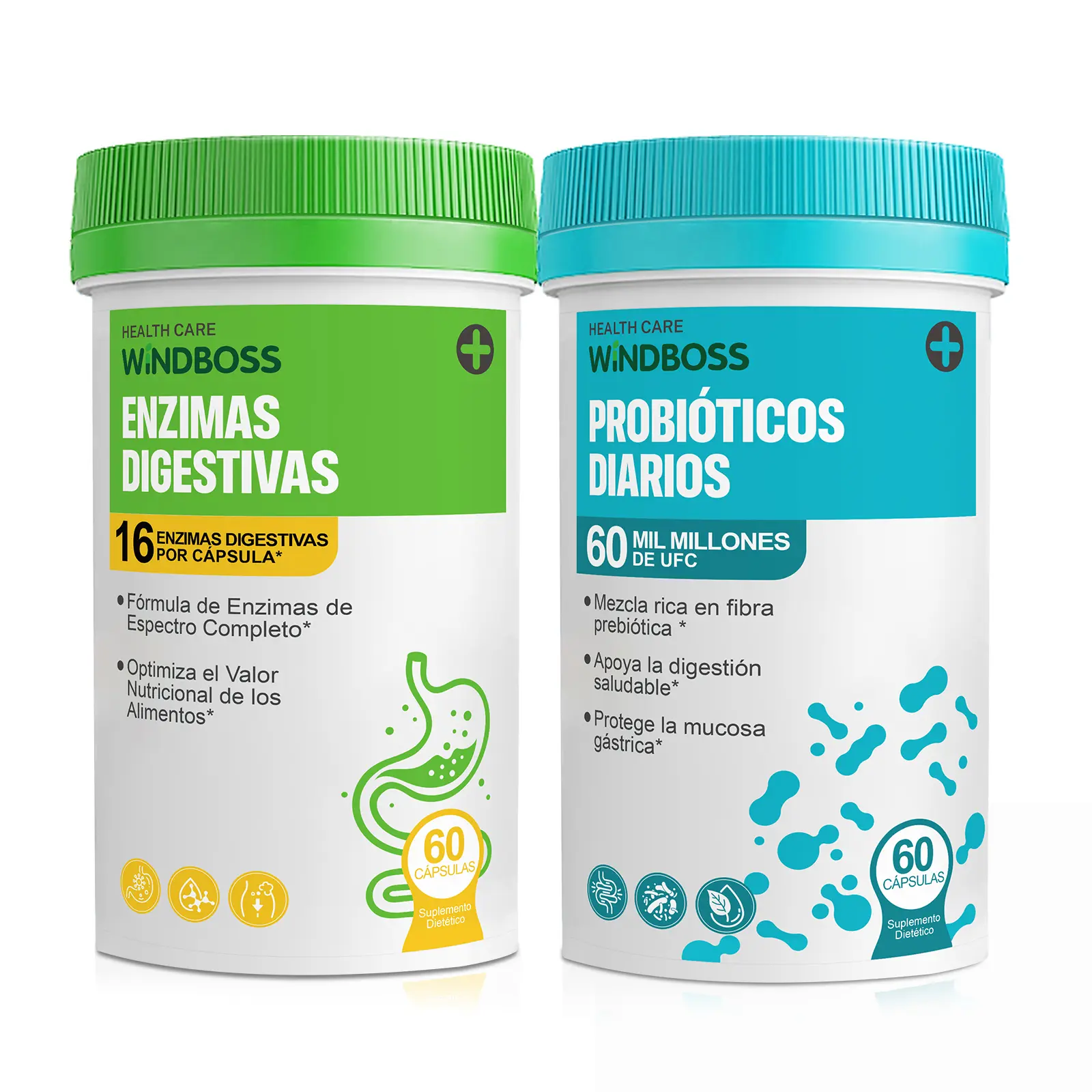 Probióticos 60 Mil Millones + 16 Enzimas Digestivas con Jengibre y Menta Orgánica | Soporte Digestivo y Antioxidante Natural | Bienestar Diario en 60 Cápsulas | Windboss