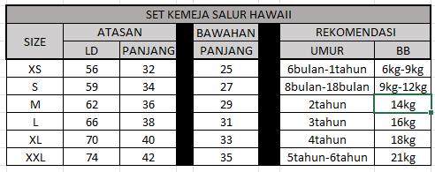 LUTUNA - SETELAN KEMEJA ANAK SALUR HAWAIII