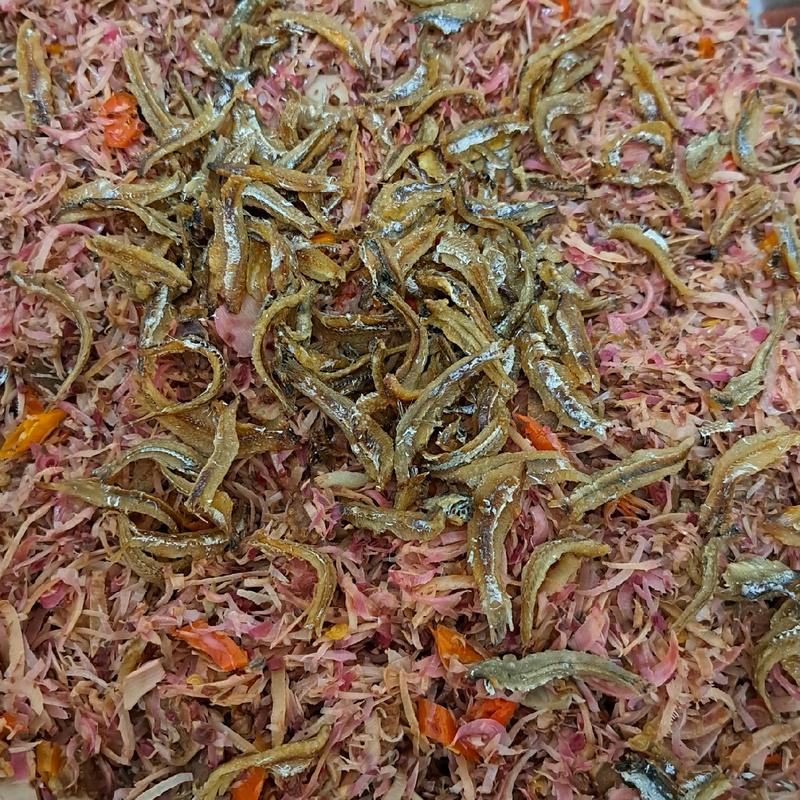 SAMBAL TERI KECOMBRANG IRIS KINCUNG/HONJE 3