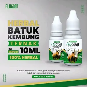 Flugoat Obat Herbal Untuk Sapi, Domba, Kambing, fungsi mengatasi pilek, Kembung, Lumpuh