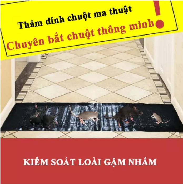  Keo Dính Chuột Siêu Dính Miếng Dài 120cm Keo Dính Bắt Chuột Tàng Hình Dính Chuột Côn Trùng An Toàn Cho Gia Đình 