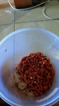 Product Review of Basreng Stik Pedas Daun Jeruk 1.000gr from D** 0