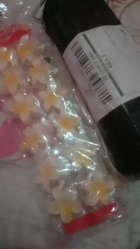 Product Review of Jepit kamboja 12 pcs jepit bunga kamboja ukuran 5 cm grosir jepit rambut korea from S**a d**i 0
