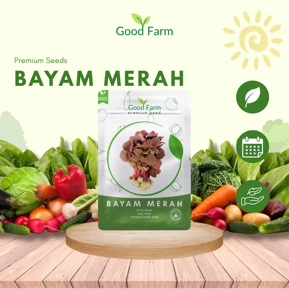 Benih premium bayam merah kemasan urban farming