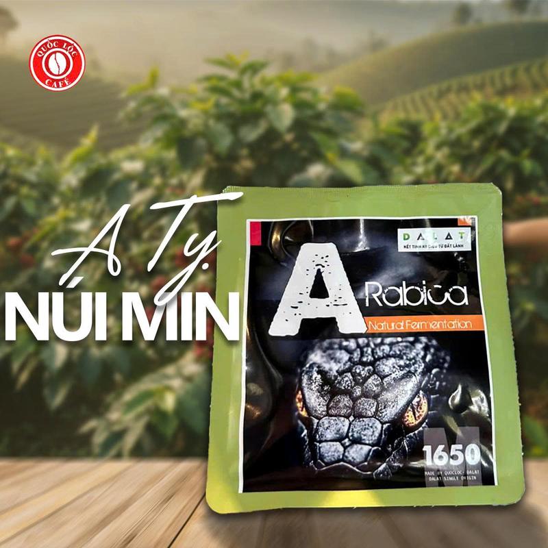 100g A tỵ Arabica Núi Min Cầu Đất Arabica 2025 Quốc Lộc Coffee