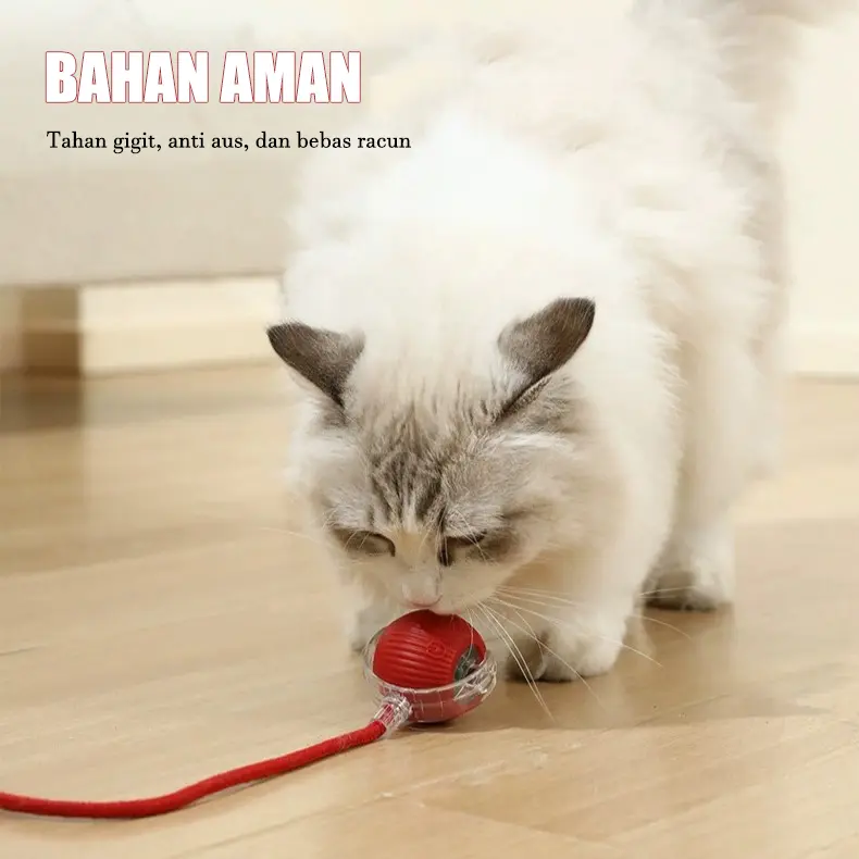 Bola Mainan Kucing Pintar Pet Mainan interaktif Mainan Anjing Kucing Bola Listrik Bergulir Dengan Tali 4