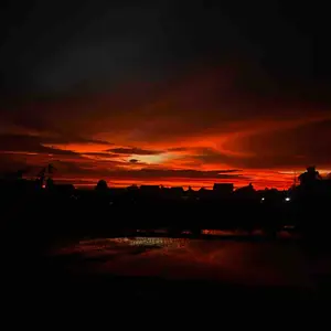 Spar.co Twin Butterfly Zirkonia Bracelet - Gelang Serut Titanium Berlapis Emas 18K Dengan Liontin Dua Kupu-Kupu Berlapis Mutiara Zirkonia SP-1378