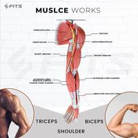 Gambar SFIDN FITS Power Wrist Exerciser | Arm Grip Exerciser | Hand Grip Tangan - HItam dari SFIDN FITS Shop Kota Tangerang Selatan 4 Tokopedia