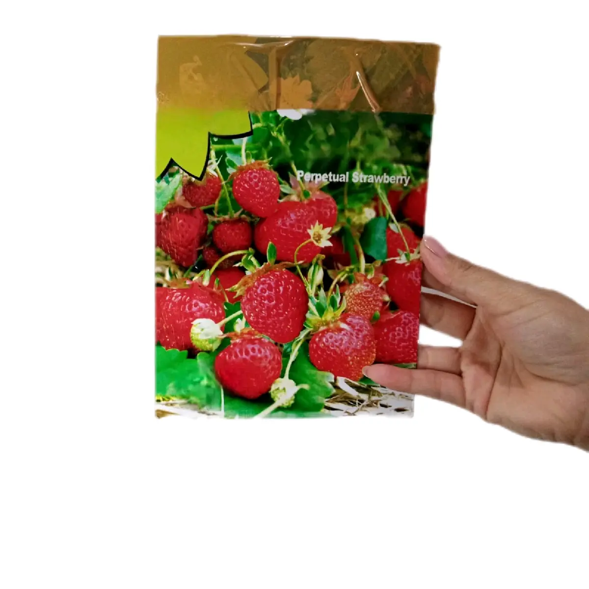 benih strawberry asli kemasan jenis besar