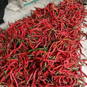 Cabe Merah Kriting Segar 1 kg - Food  Kecombrang Pedas Langsung Dari Petani Pilihan Cabai Merah