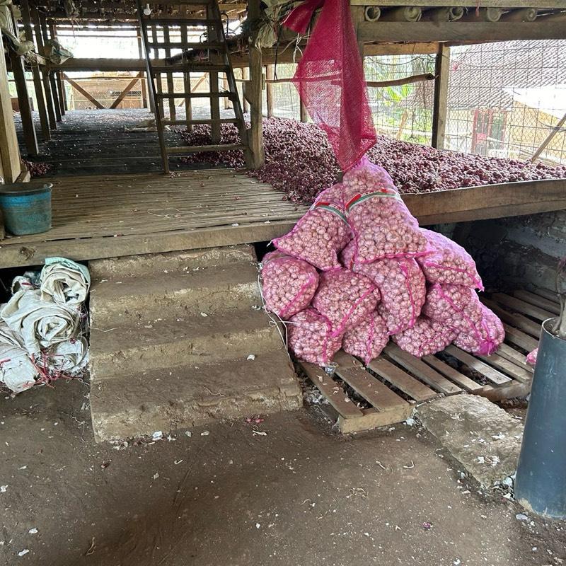 Bawang merah1 kg dan bawang putih 1kg mix umkm Food Pedas Goreng Bahan Masakan Garlic 4