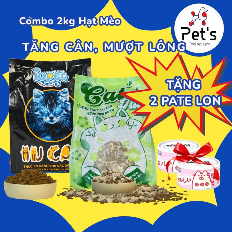   Tặng 2 lon pate  Combo 2 kg Hạt Mix Gà IUCAT VÀ CATSTUN Cho mèo nhiều dinh dưỡng dầu cá hồi hỗ trợ tăng cân và giảm rụng lông mượt lông 