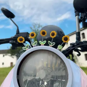 5PCS Bunga Matahari Goyang - Hiasan Mobil Lucu untuk Dashboard & Kaca Spion, Terapi Stres & Dekorasi Interior Car Coklat Kendaraan hiasan  mobil  allah  muhammad hiasan  mobil  dashboard  boneka  1  set car  charms