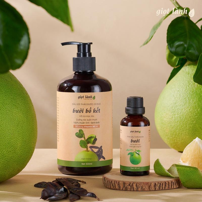 Combo mọc tóc hói Dầu gội bồ kết và Tinh dầu bưởi nguyên chất dưỡng tóc - Giọt Lành