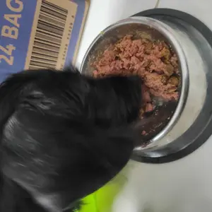 AnimalnCo Gourmet Wet Dog Food Can 400gram Makanan Basah Anjing Premium Grain Free