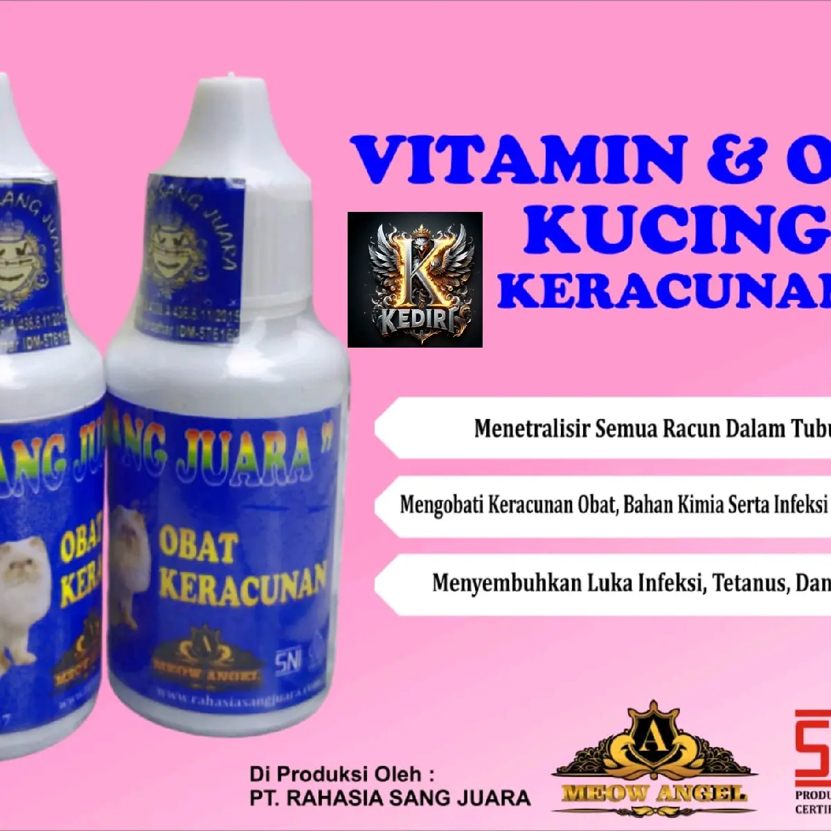 RSJ VITAMIN & OBAT KERACUNAN PADA KUCING