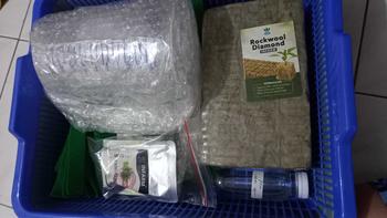 Product Review of INFARM - Paket Kit Hidroponik Rakit Apung Kangkung Bak Persegi Daun Kotak from W**n 0