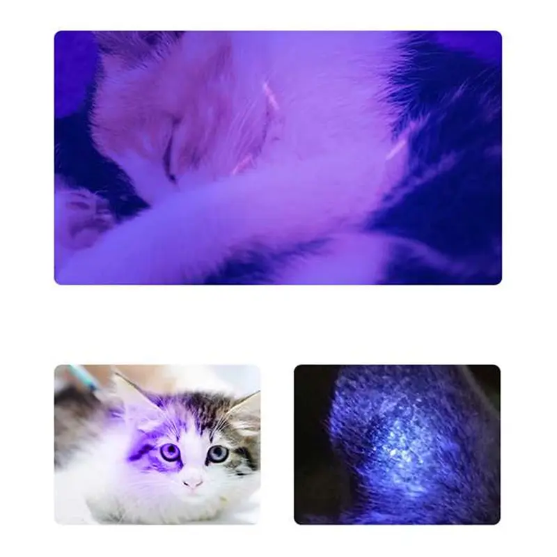 Senter UV Deteksi Uang Palsu Urine Hewan Peliharaan - UV Pet Urine Fungus Detection Money Detector 365nm - TaffLED S11-Z 4