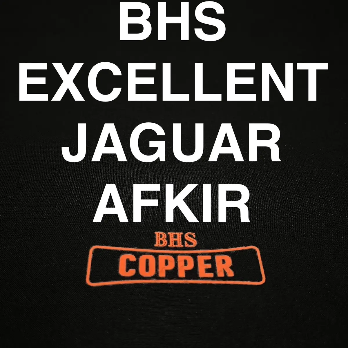AFKIR MURAH BHS EXCELLENT JACQUARD GRADE COOPER/AFKIR RINGAN NON BOX 100% ORIGINAL   Sarung Songket Muslim Santri