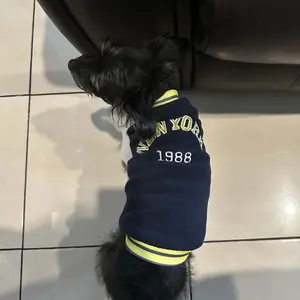 Blake Jacket - Baju Anjing Kucing Jaket  Jersey Varsity Jantan Betina