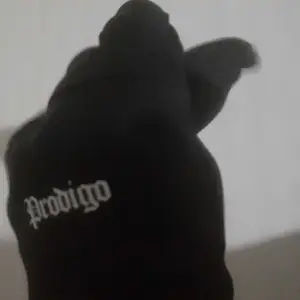 Prodigo * Sarung Tangan Krakatau I Sarung Tangan Pria Wanita I Sarung Tangan Motor Half Finger