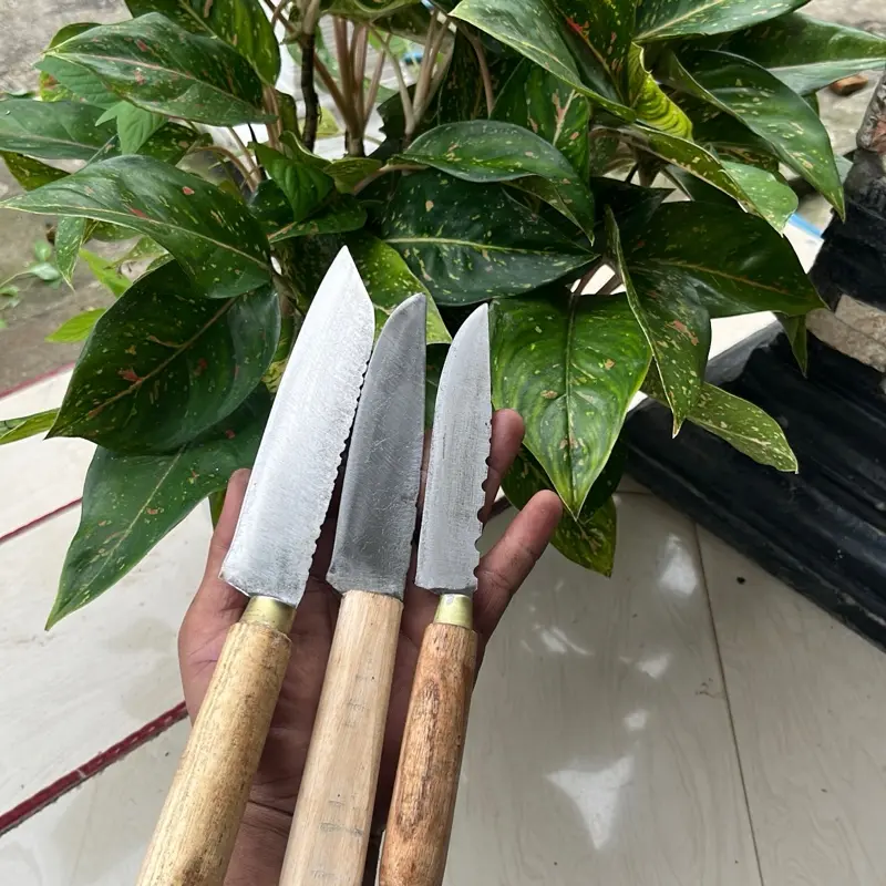 3 pisau bahan baja x gergaji Kitchenware 2