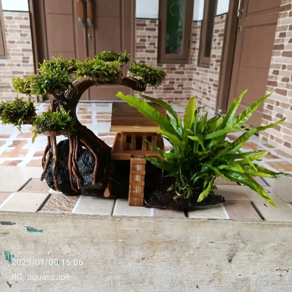 replika bonsai kadaka rumah miniatur hiasan aquarium dekorasi aquascape