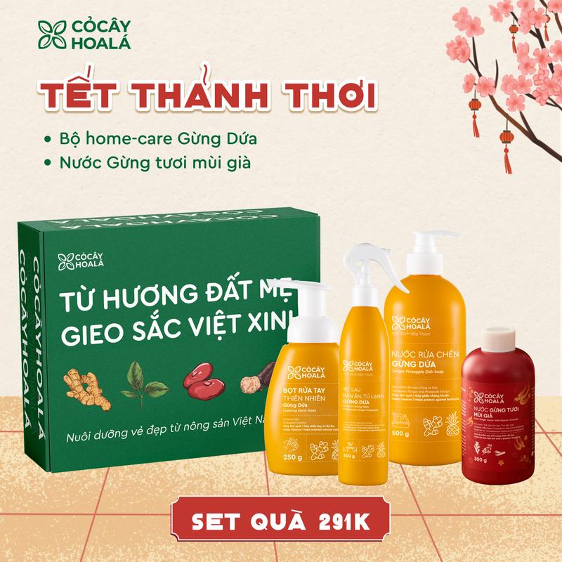   TẾT THẢNH THƠI 291K  Set quà Tết Cỏ Cây Hoa Lá "Khởi nguồn tự nhiên – Giữ Hồn Tết Việt": Combo Nhà Sạch Bếp Thơm Gừng Dứa Nước Gừng Tươi Mùi Già 300g 