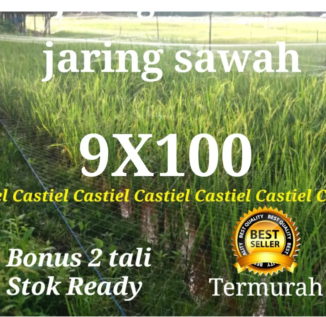 jaring padi / jaring burung pipit dan emprit / jaring penutup sawah