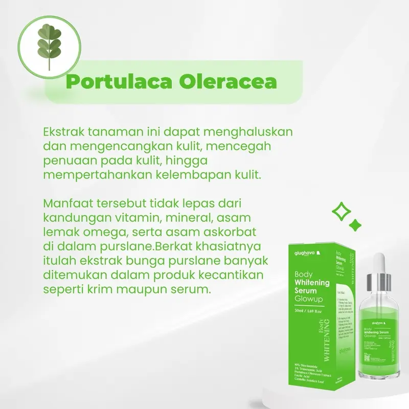 GLUGHAVA - ( 20 ML )- Whitening Serum GlowUp 10.10- 10% Niacinamide+ 3% Tranexamic Acid | Mencerahkan Menyamarkan Bekas Luka 4