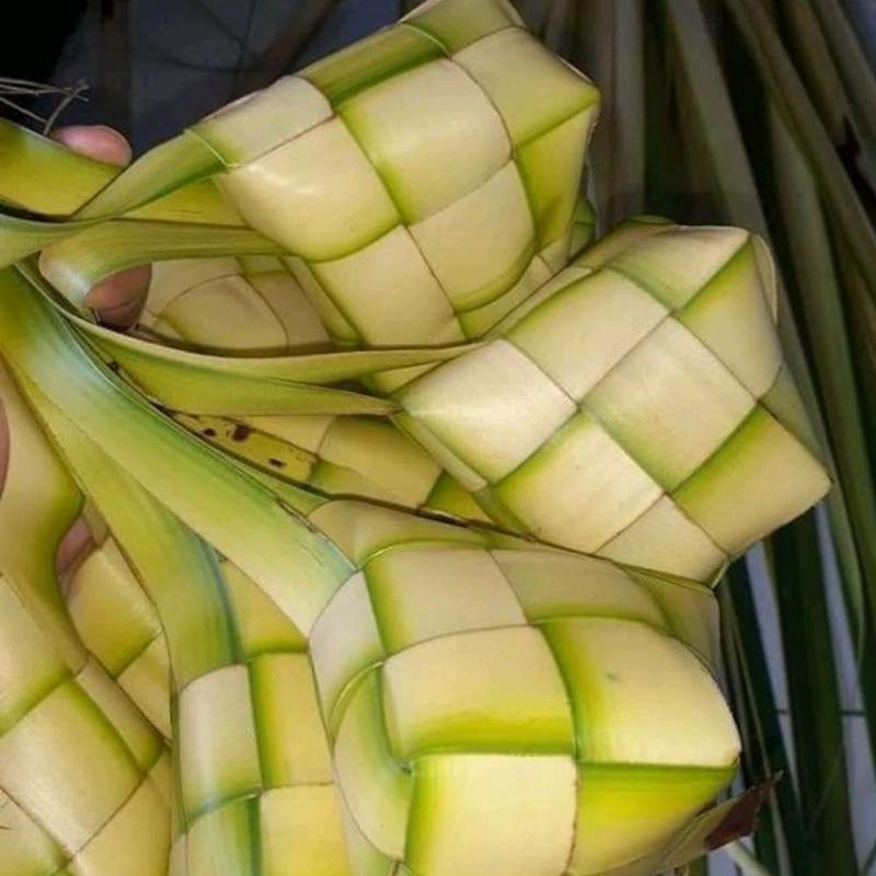 Cangkang ketupat - Jual cangkang ketupat kosong segar paket 10 pcs 4