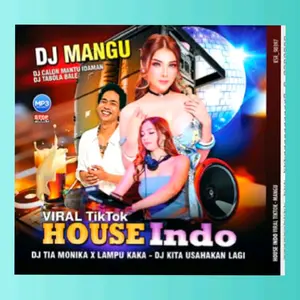 Kaset mp3 dj hous indo audio musik terbaru isi 110 audio musik dj