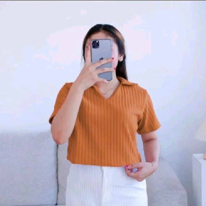 Kaos Atasan Wanita Lengang Pendek Crop Top Polo Rib Knit Hornet Premium Terlaris 7