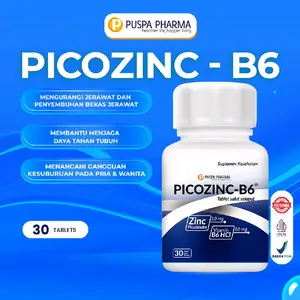 {PAYDAY GAJIAN SALE} PICOZINC + B6 - Zinc Picolinate 50mg + B6 HCL 10 Mg - 30 Tablet/botol