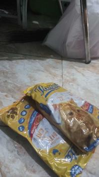 Product Review of Bundling 2 PCS Pussbite Makanan Kucing Kering Premium Frespack 800Gr from S**A M**A 0