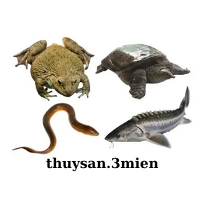 Thuốc Thủy Sản 3 Miền