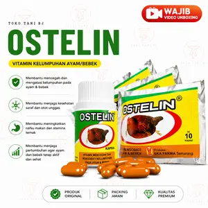 BJ SJOP EKA FARMA KAPSUL OSTELIN 10 BUTIR ATAU 50 KAPSUL OBAT AYAM BEBEK LUMPUH VITAMIN