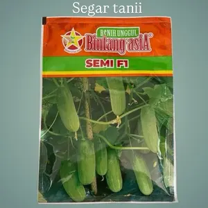 Bintang Asia Benih Unggul Semi F1 - Benih Sayur Segar 20 gram untuk Taman Anda Generasi F1 Cocok untuk Taman Segar dan Lezat bibit tanaman