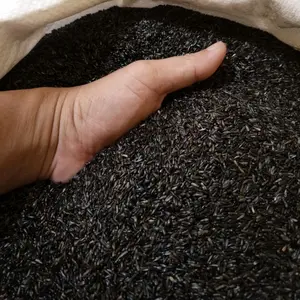 Nigerseed Niger Seed Pakan Burung Kiloan Kemasan Ekonomis