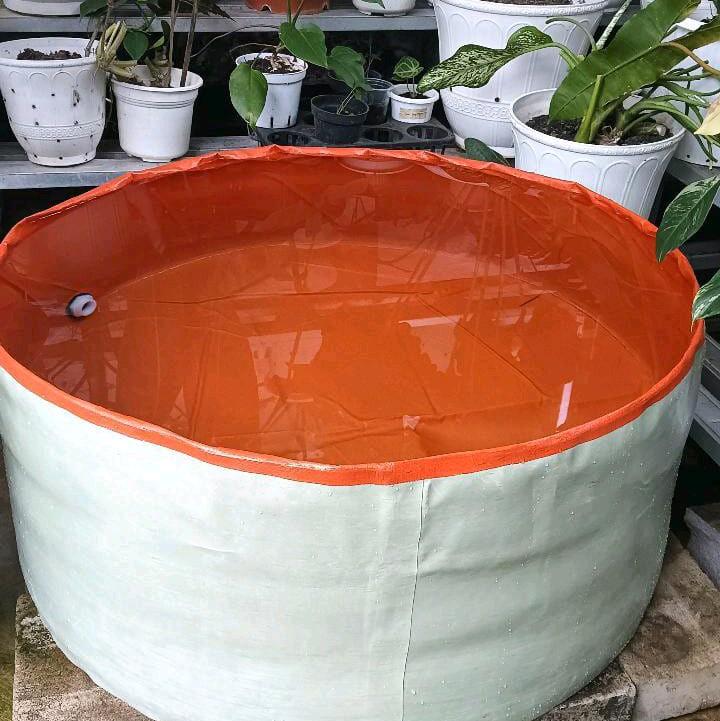 Kolam Terpal Bulat Tanpa Rangka Diameter 150cm /1, 5m tinggi 45cm Untuk Budidaya Ikan Lele Nila Gurame gabus udang Belut Dll 6