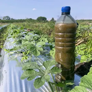 pupuk gendruwo SUPERR 1000ML